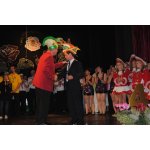 2 Prunksitzung Vereine