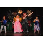 3 Prunksitzung offen