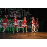 3 Kinderfasching